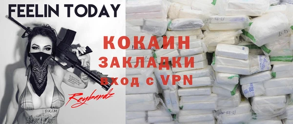 шишки Богородицк