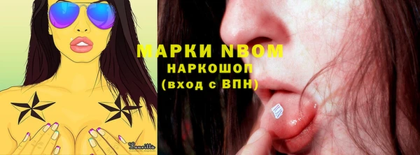 прущие грибы Богданович