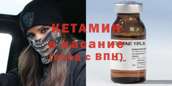 шишки Богородицк