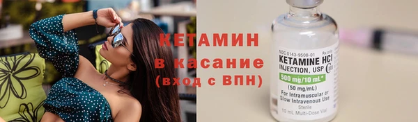 шишки Богородицк