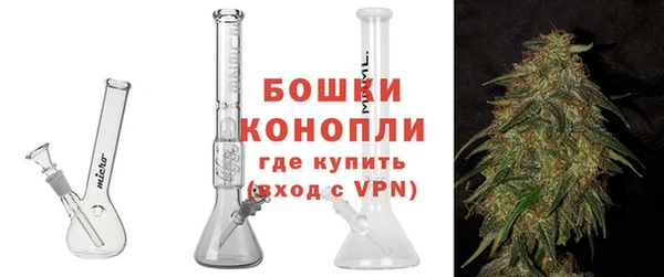 прущие грибы Богданович