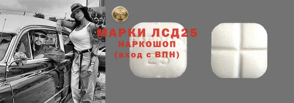 шишки Богородицк