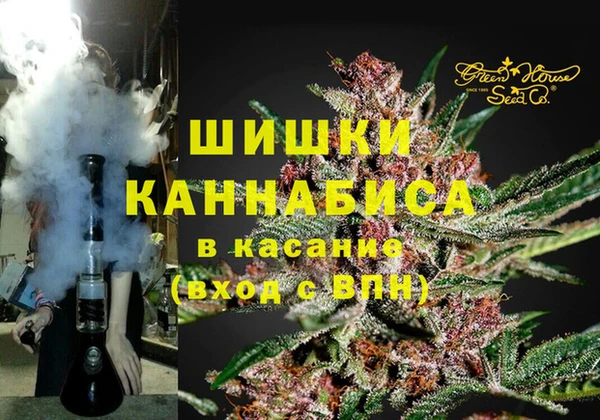шишки Богородицк