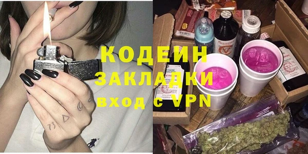 шишки Богородицк