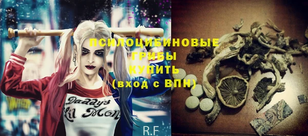 прущие грибы Богданович