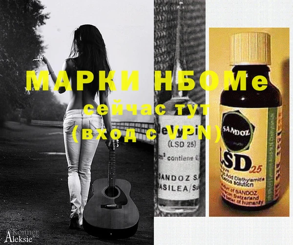 шишки Богородицк