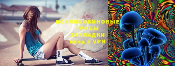 шишки Богородицк