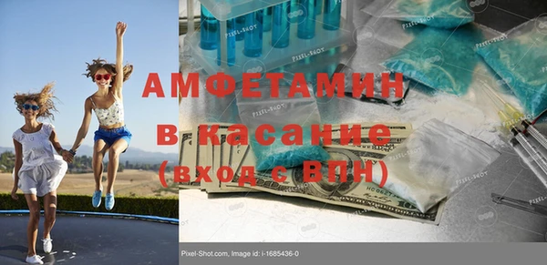 прущие грибы Богданович