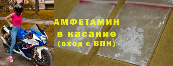 шишки Богородицк
